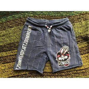 Zara Wile E Coyote Shorts